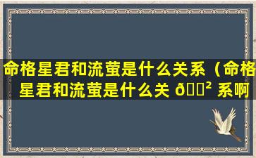 命格星君和流萤是什么关系（命格星君和流萤是什么关 🌲 系啊 ☘ ）